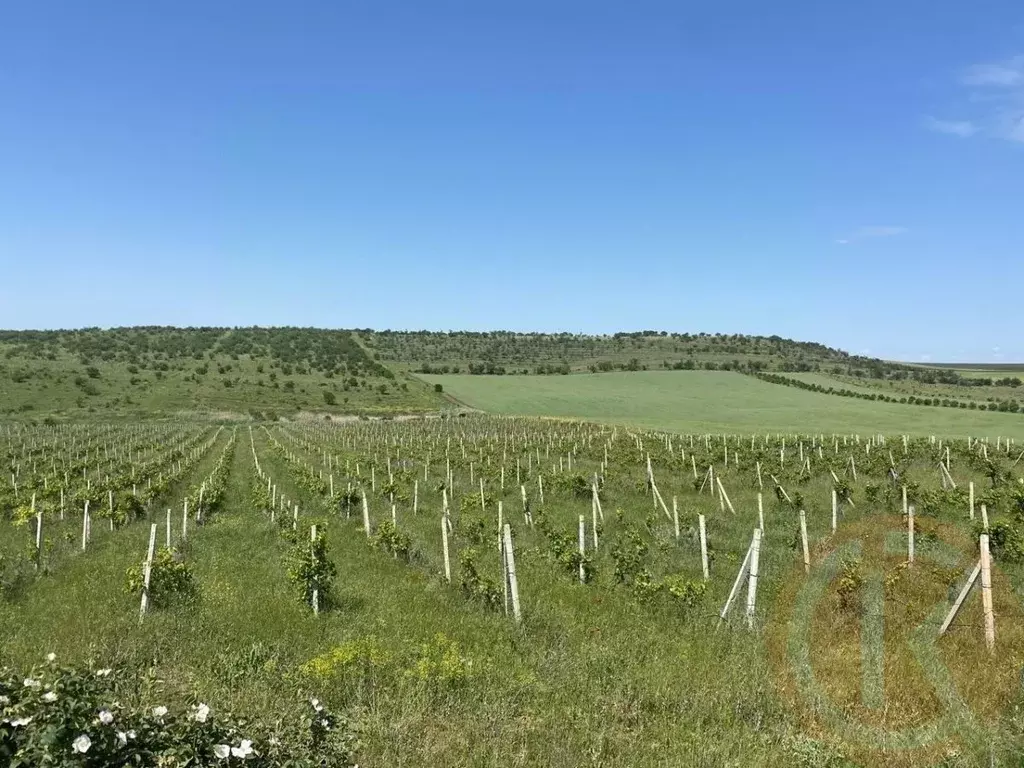 Участок в Крым, Бахчисарайский район, с. Угловое  (448.0 сот.) - Фото 1