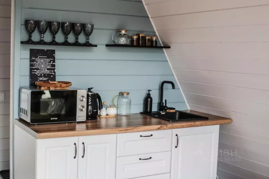 Дом в Воронежская область, Хохольский район, Новогремяченское с/пос, ... - Фото 2