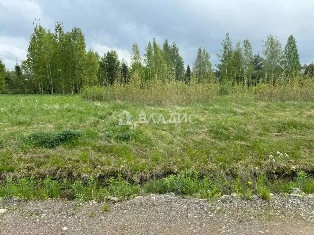 Участок в Ленинградская область, Всеволожский район, Куйвозовское ... - Фото 1