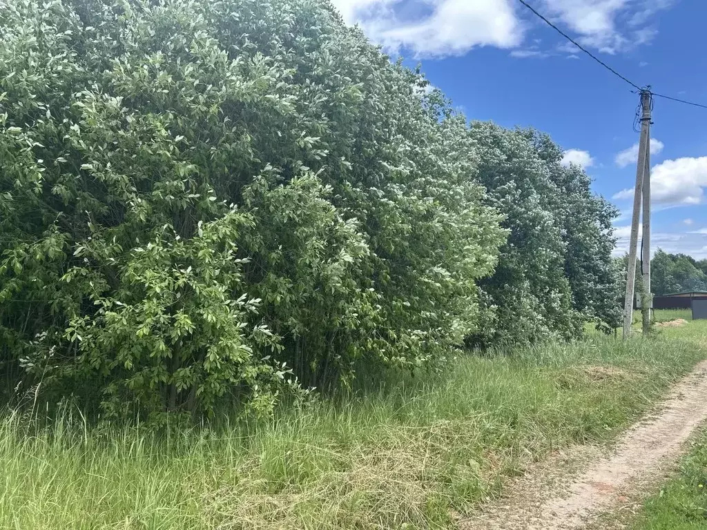 Участок в Московская область, Ступино городской округ, д. Акатово  ... - Фото 1