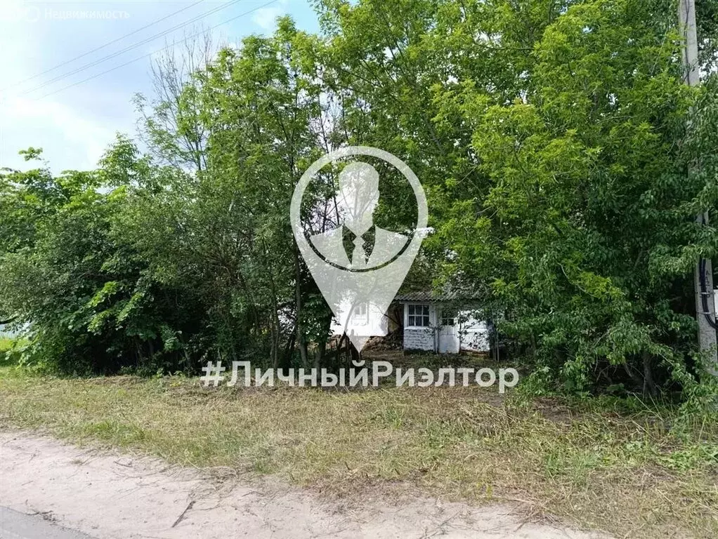 Дом в Рязанская область, Скопинский муниципальный округ, село Пупки ... - Фото 2