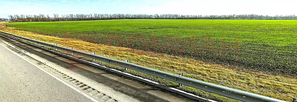 Участок в Ростовская область, Аксайский район, Щепкинское с/пос, пос. ... - Фото 2
