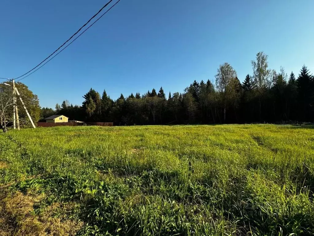 Участок в Московская область, Можайский муниципальный округ, пос. ... - Фото 1