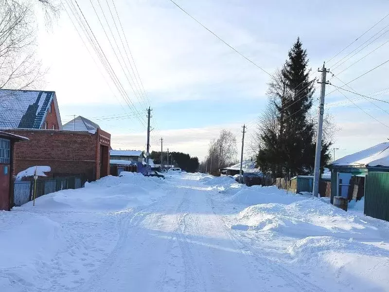 Участок в Новосибирская область, Новосибирский район, Станционный ... - Фото 1