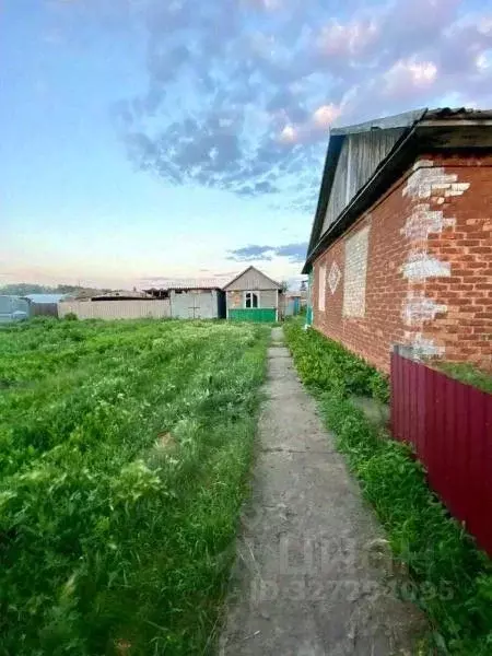 Дом в Омская область, Любинский район, с. Любино-Малороссы ул. Мира ... - Фото 2