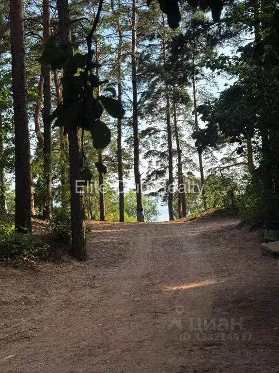 Участок в Санкт-Петербург пос. Солнечное,  (52.0 сот.) - Фото 2