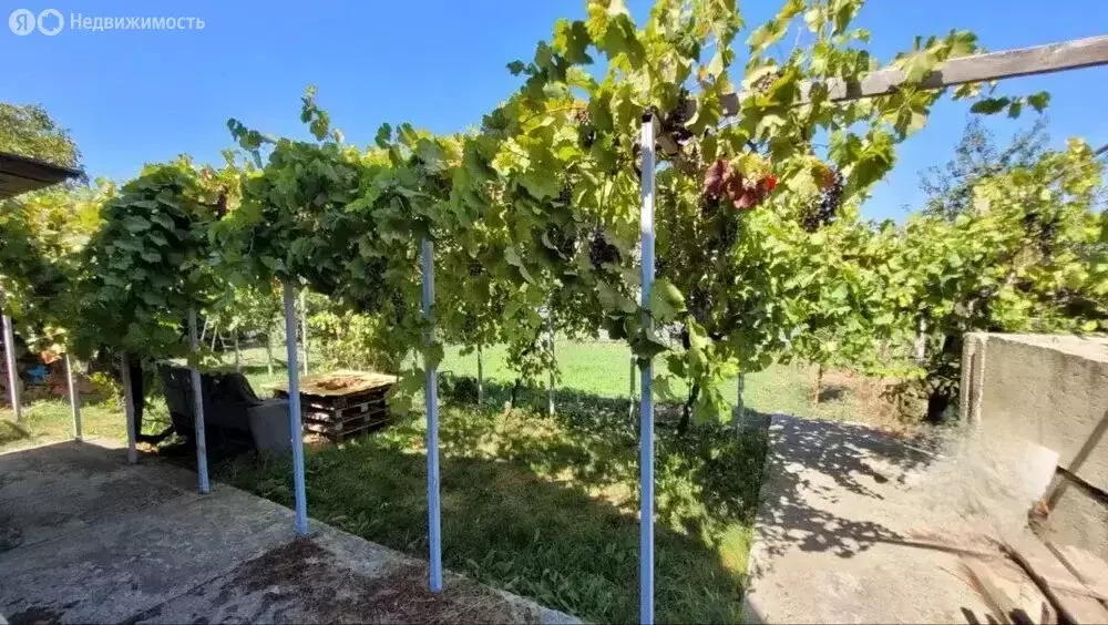 Дом в деревня Ворщиково, Радужная улица (100 м) - Фото 1