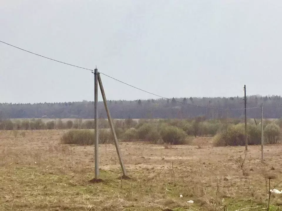 Участок в Ярославская область, Переславль-Залесский городской округ, ... - Фото 0