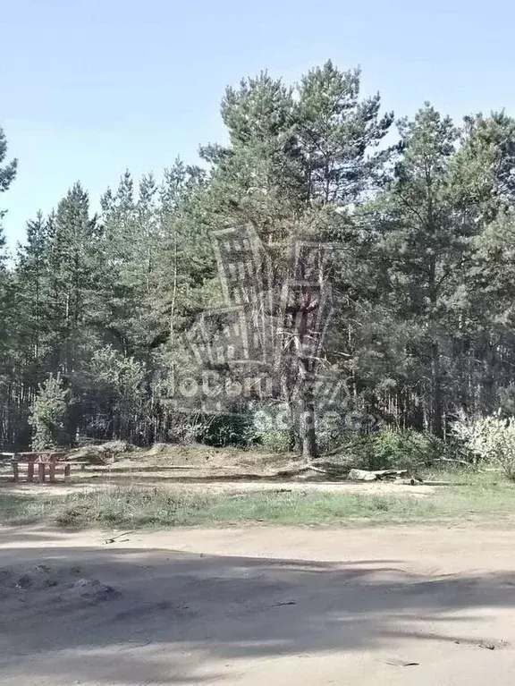 Участок 8,4 га (СНТ, ДНП) - Фото 1