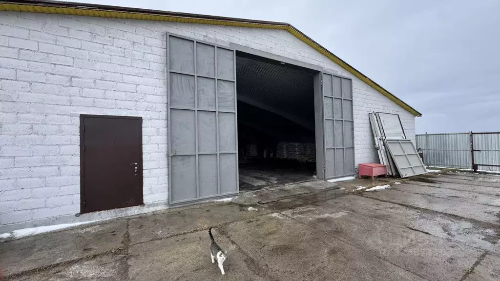 Склад в Ростовская область, Ростов-на-Дону просп. 40-летия Победы, ... - Фото 1