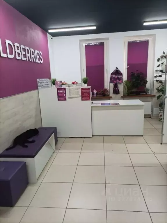 Торговая площадь в Московская область, Подольск Юбилейная ул., 3к2 ... - Фото 1