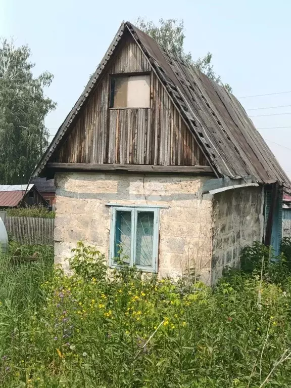 Участок в Новосибирская область, Новосибирск Радуга СНТ, 480 (4.38 ... - Фото 1