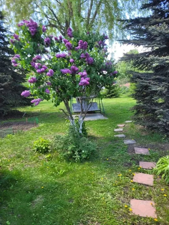 Коттедж в Самарская область, Ставропольский район, с. Подстепки ... - Фото 1