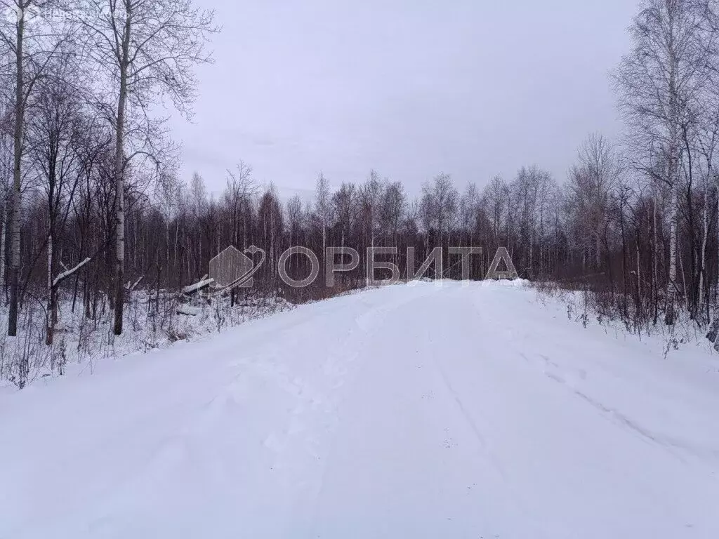 Участок в Тюменский район, СНТ Архитектор (18 м) - Фото 1