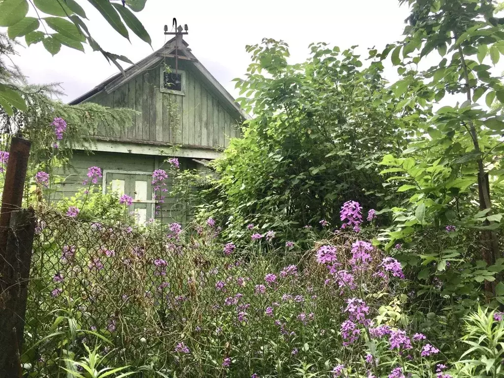 Дом в Хабаровский край, Хабаровск Трехгорная ул., 175Л/9 (15 м) - Фото 1