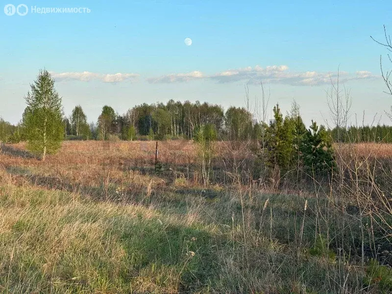 Участок в Тюмень, Ленинский округ (100 м) - Фото 1