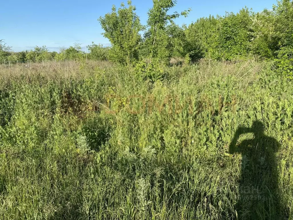 Участок в Ростовская область, Аксайский район, Большелогское с/пос М-4 ... - Фото 2