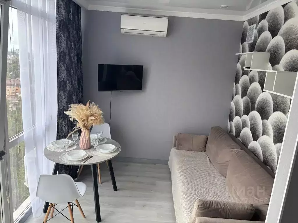 1-к кв. Краснодарский край, Сочи Виноградная ул., 206 (33.0 м) - Фото 1