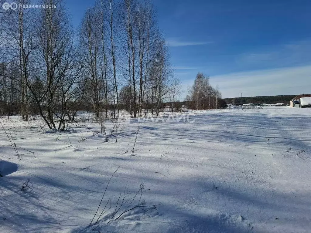 Участок в Бессоновский район, село Сосновка (19.5 м) - Фото 1