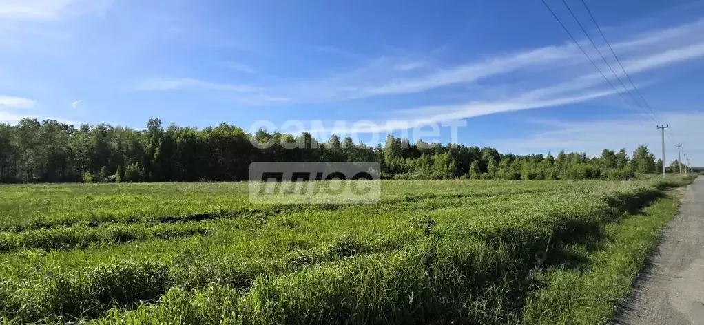 Участок в Челябинская область, Сосновский муниципальный округ, ... - Фото 2