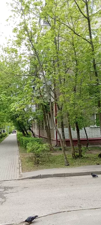 Продаётся 1-к квартира, 31.6 м - Фото 1