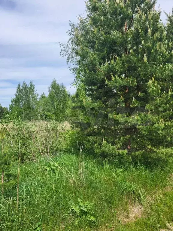 Участок 9,8 сот. (СНТ, ДНП) - Фото 1