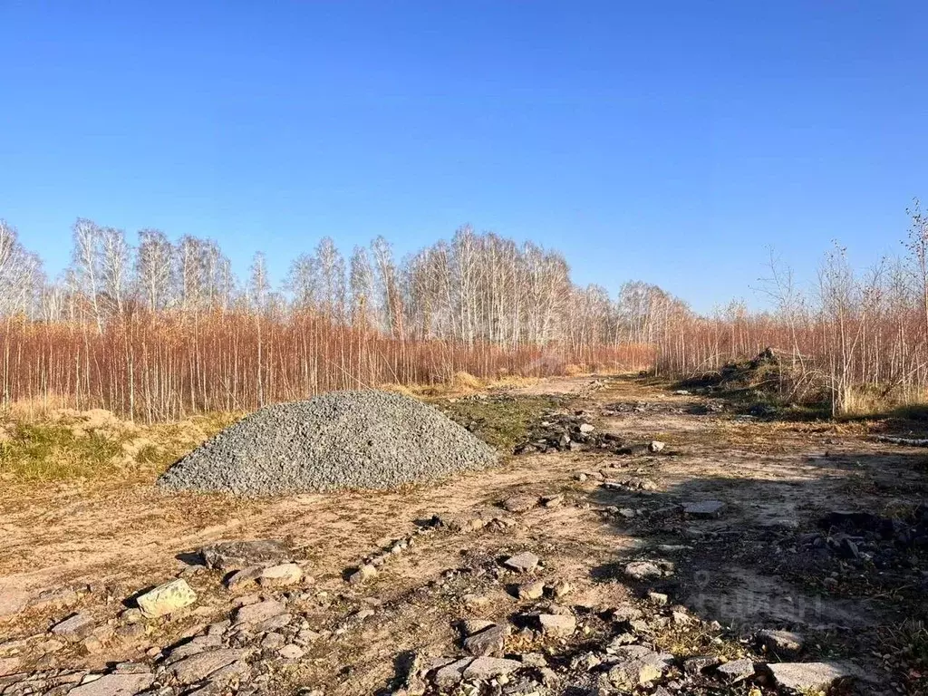 Участок в Новосибирская область, Новосибирский район, Станционный ... - Фото 0