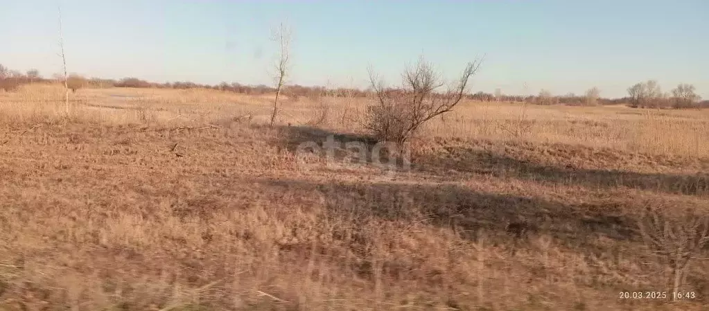 Участок в Волгоградская область, Среднеахтубинский район, Клетское ... - Фото 1