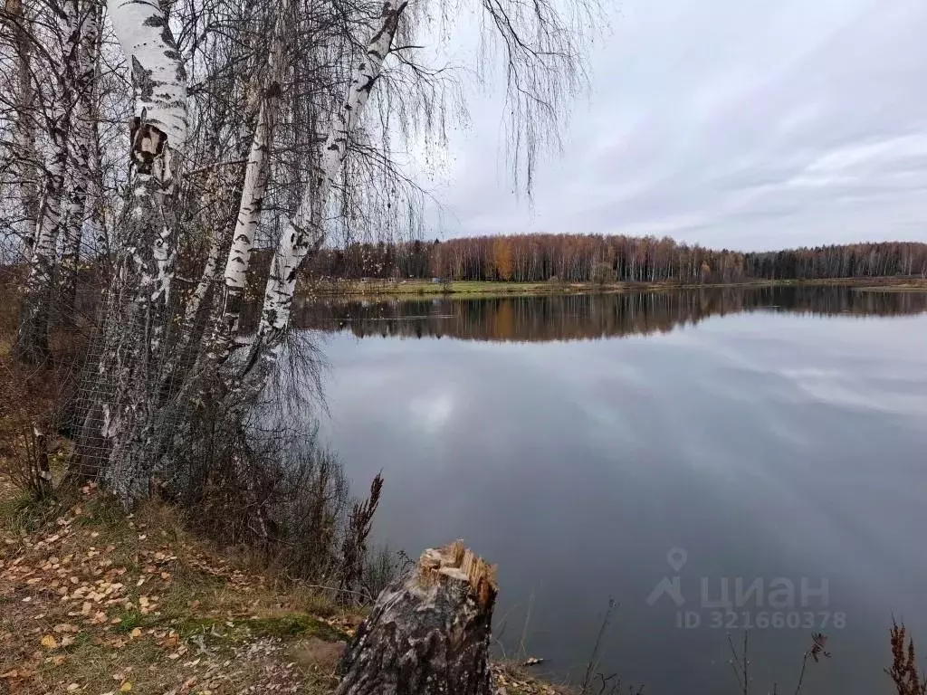 Участок в Владимирская область, Киржачский муниципальный округ, ... - Фото 2