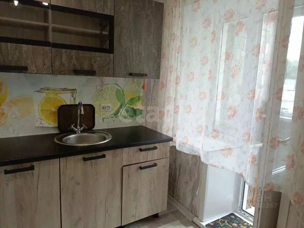 1-к кв. Новосибирская область, Бердск ул. Рогачева, 4 (29.9 м) - Фото 0