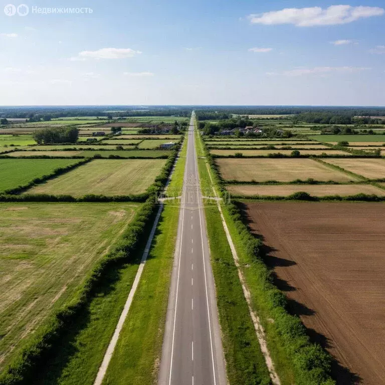Участок в Медведевский район, Пекшиксолинское сельское поселение, ... - Фото 1