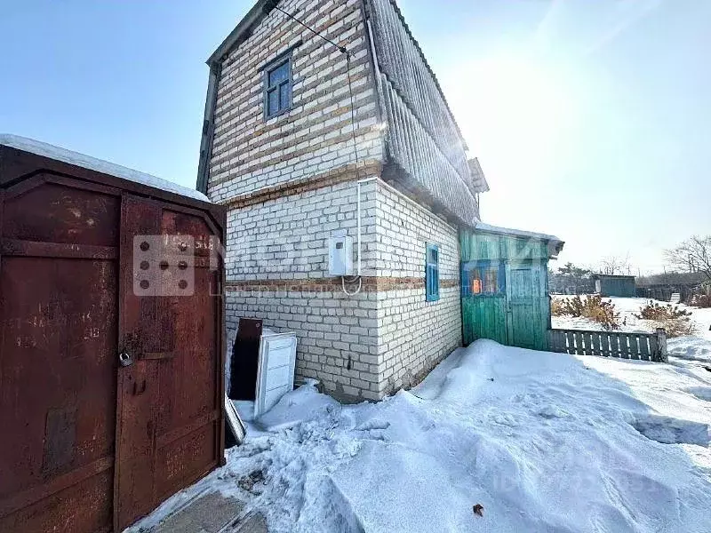 Дом в Амурская область, Серышевский муниципальный округ, Междуречье ... - Фото 1