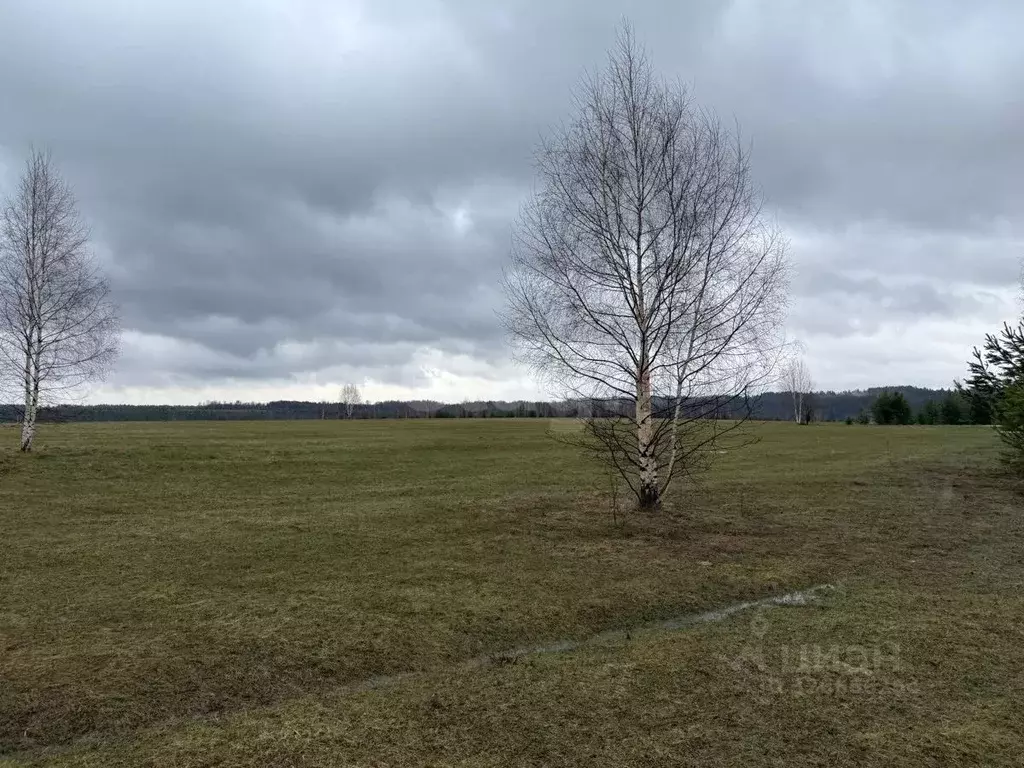 Участок в Пермский край, Ильинский муниципальный округ, д. Плотники ... - Фото 1