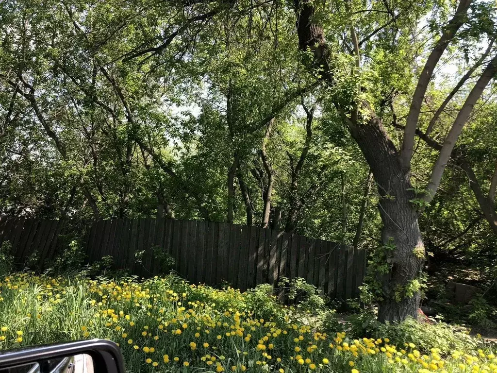 Участок в Свердловская область, Екатеринбург ул. Проезжая, 82 (10.0 ... - Фото 2