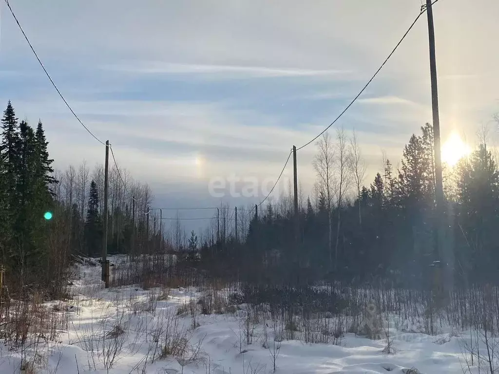 Участок в Ханты-Мансийский АО, Ханты-Мансийск Таволожное урочище,  ... - Фото 0