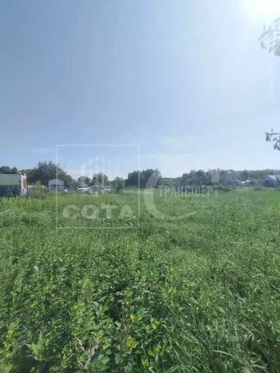 Участок в Воронежская область, Новоусманский район, с. Хреновое  (15.0 ... - Фото 1