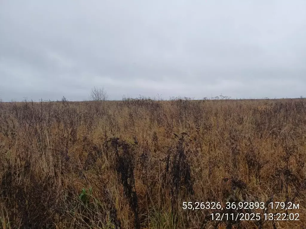 Участок в Московская область, Наро-Фоминский городской округ, д. ... - Фото 1