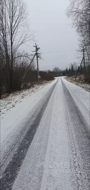 Участок в Владимирская область, Кольчугинский муниципальный округ, ... - Фото 2