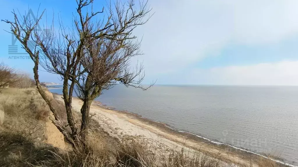 Участок в Ростовская область, Неклиновский район, Новобессергеневское ... - Фото 0