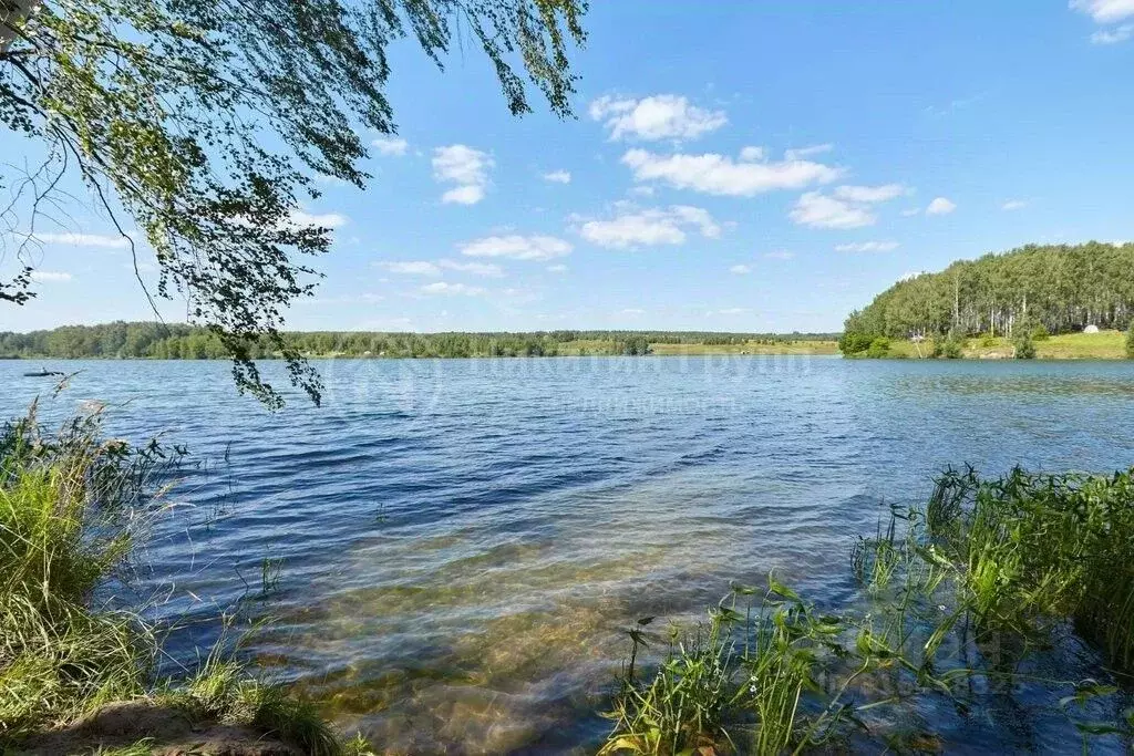 Участок в Нижегородская область, Богородский муниципальный округ, с. ... - Фото 0