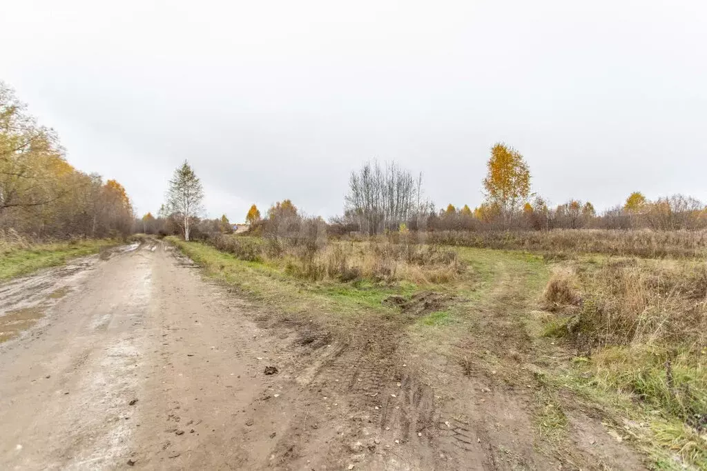 Участок в Тобольск, Вертолётный переулок (8 м) - Фото 1