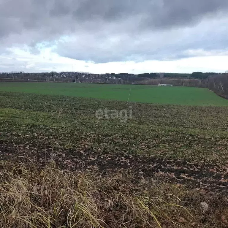 Участок в Орловская область, Орловский район, пос. Неполодь  (10.1 ... - Фото 1