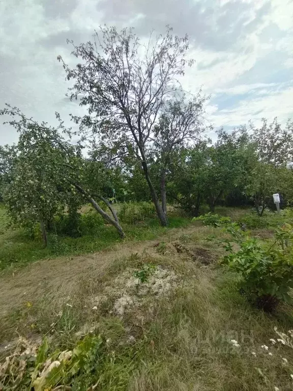 Участок в Саратовская область, Саратов Водник СНТ,  (7.0 сот.) - Фото 2