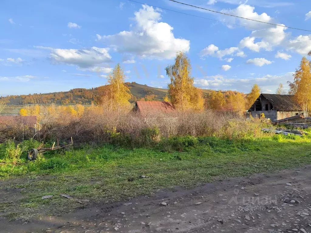 Участок в Алтай, Майминский район, пос. Карлушка ул. Валентины ... - Фото 2