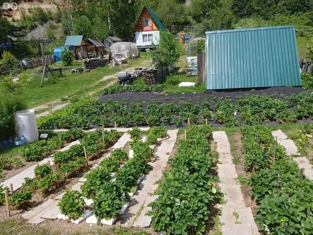 Дом в село Артыбаш, Родниковая улица (23.1 м) - Фото 0