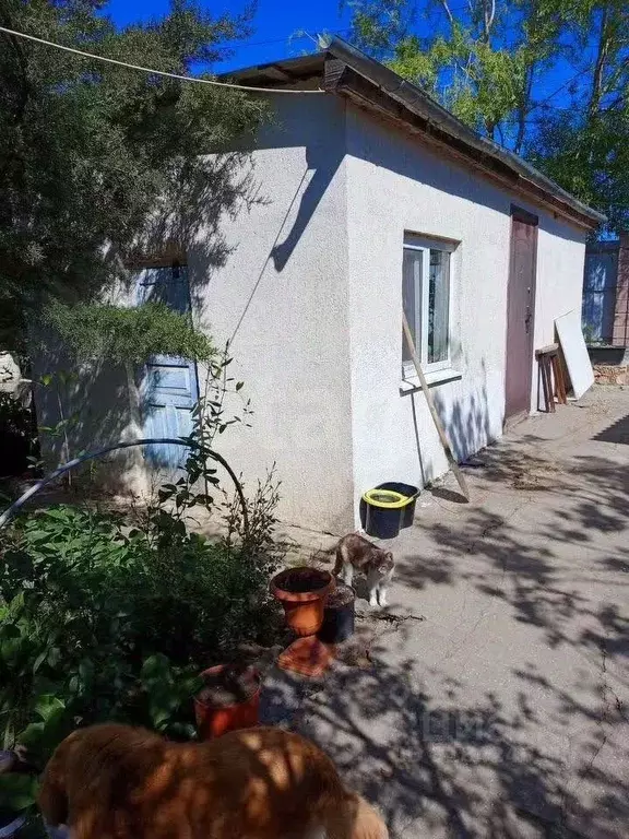 Дом в Крым, Бахчисарайский район, с. Вилино ул. Ленина, 108 (82 м) - Фото 0