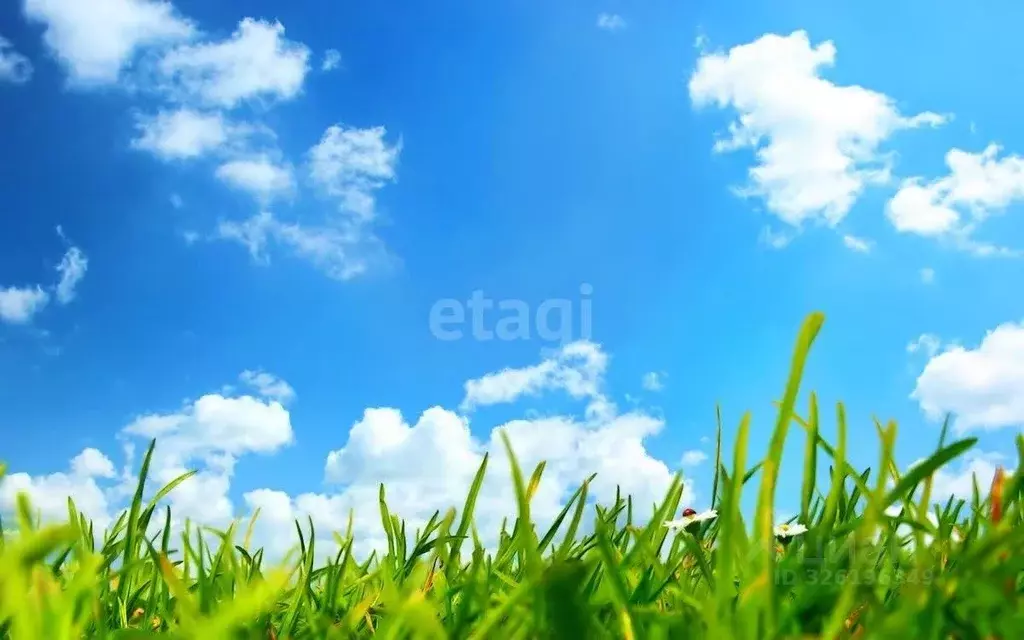 Участок в Краснодарский край, Ейск ул. Щорса (10.21 сот.) - Фото 1