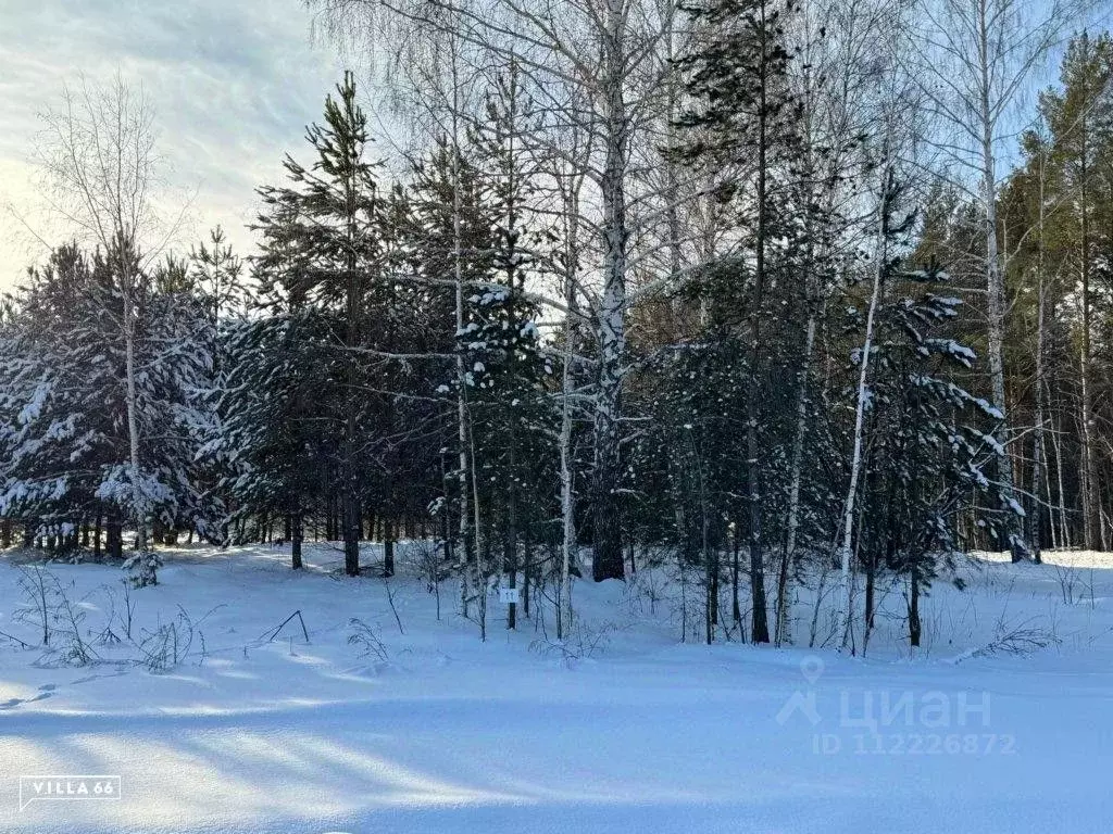 Участок в Свердловская область, Сысертский городской округ, пос. ... - Фото 0