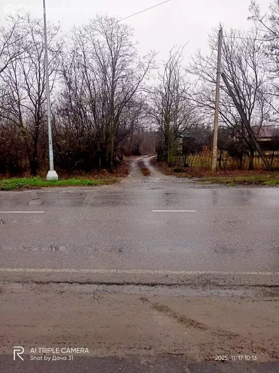 Участок в Белгородская область, Яковлевский муниципальный округ, СНТ ... - Фото 1