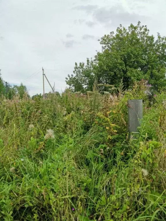 Дом в Смоленская область, с. Новодугино  (94 м) - Фото 1